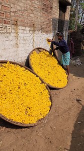 84M views · 677K reactions | Amazing Silk Preparation Complete Process Using Silkworm | Our Collection | Facebook