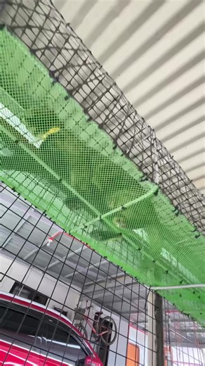 Building a Cat Catio for Your Feline Friend