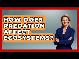 How Does Predation Affect Ecosystems? - The Marine Life Explorer