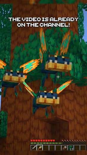 🌳 Exploring the Relict Forest