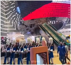 Seriously? :)🙄 | Stupid