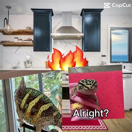 Why are you making? 🤔 fire over there?