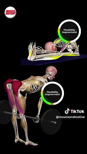 Debunked: The Myth About Resistance Training and Muscle Shortening