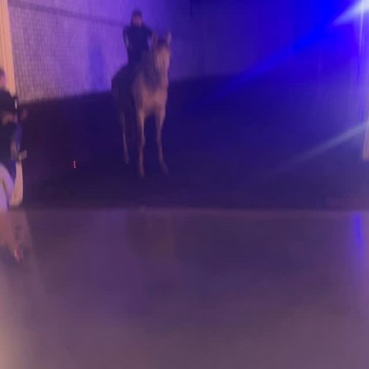 Ana Martinez on Reels