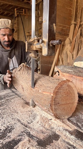 Log Edges: The Most Satisfying Trim | Woodworking #wood #shorts