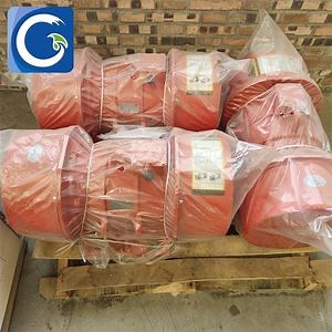 [Hot Item] Sand Gravel Screening Plant Vibration Motor