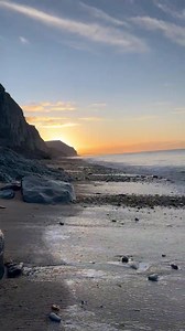 Lovely start to the day at Charmouth Slim pickings a bit with some belemnites in Jurassic squid creatures | Charmouth Fossils