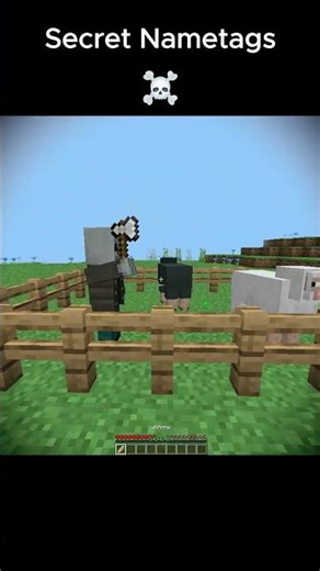 Secret Name Tags That Change Mobs?! 😱 #minecraftsecrets