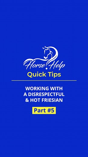 351K views · 3.7K reactions | Tips For Working With A Hot Horse! Part 5 Want To Learn More? Visit the Link in my Bio! #horsetraining #horse #trainer #horsetrainer #trainingvideos #horsevideo #traininghorses #horses #horsehelp | Horse Help With Michael Gascon | Facebook