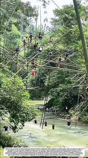 Construyendo puentes de bambú: Cómo la tradición se entrelaza con la naturaleza
