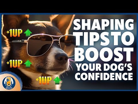 Shaping Tips For Timid, Shy, Softer Or Fearful Dogs To Create Enthusiastic Learners #264 #podcast