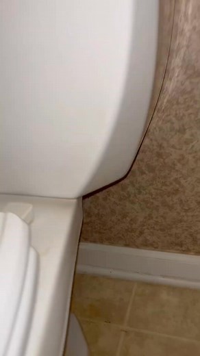 Toilet Repair Toilet leaking! | Plumber Hero Tips
