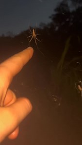 29K views · 280 reactions | boi ligma | Sharty Anna | Facebook