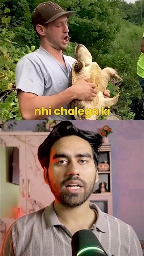 They Put a Mask on Turtle!