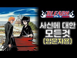 [블리치] 사신과 소울 소사이어티에 대해서