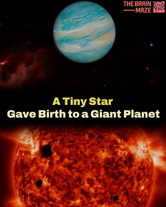 156K views · 4.6K reactions | A massive planet... orbiting a star so small, it shouldn’t even exist. TOI-6894b, a gas giant nearly the size of Saturn, has been discovered circling a red dwarf with only 21% the mass of the Sun. According to every planet formation theory we know... this is impossible. | The Brain Maze | Facebook