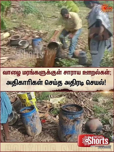 வாழை மரங்களுக்குள் சாராய ஊறல்கள்; அதிகாரிகள் செய்த அதிரடி செயல் | Tamil news | Sunnews