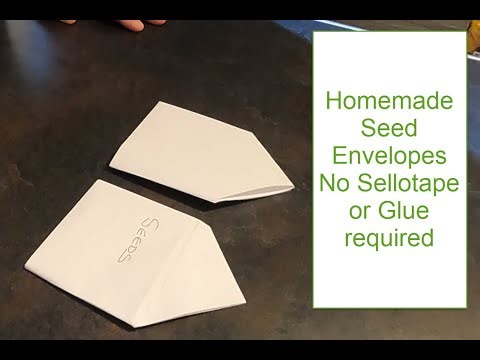 Homemade Seed Envelopes No Sellotape or Glue required