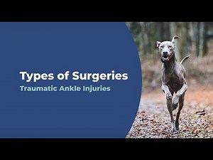 How to Fix Traumatic Ankle Injuries in Pets | Types of Surgeries | Capital Animal Hospital