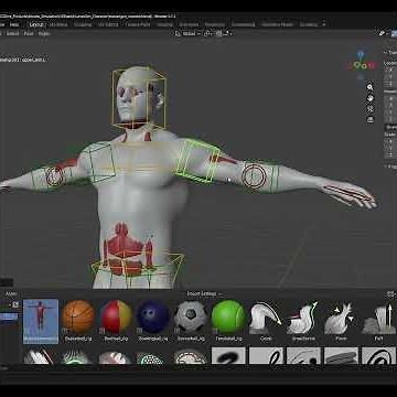Muscle System for Blender - Musculoskeletal Mannequin #blender3d #b3d #rigging #musclesimulation