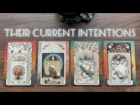 What Are Their Current.. Intentions? 🫨🔫 | 🌿 Tarot • Pick a Card Reading 🌟