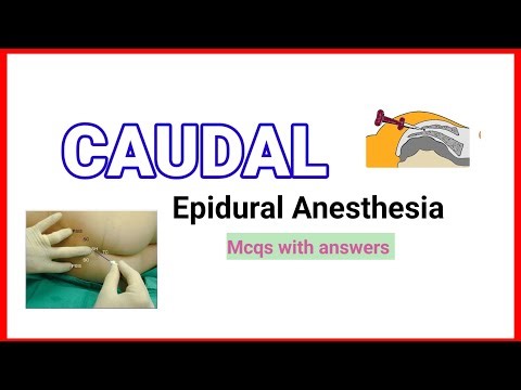 Caudal Epidural Anesthesia important MCQs with answers ‪@anaesthesiawithbabar2576‬