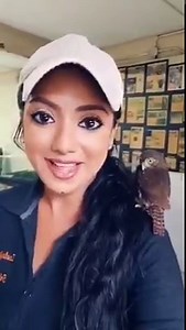 1.5K views · 163 reactions | Ferruginous Pygmy Owl! 黎 At just 15 cm in size, the Ferruginous Pygmy Owl is smallest local species of owl. It is more commonly seen in Trinidad than in Tobago. Have a look back with Zoological Officer, Sharleen Khan, as she displays a Ferruginous Pygmy Owl! #ZooEducation #EmperorValleyZoo #FerruginousPygmyOwl | Emperor Valley Zoo | Facebook