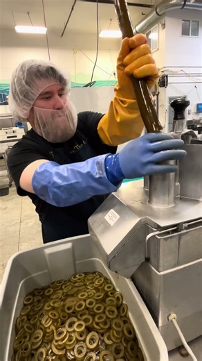 What makes kelp the perfect food?
