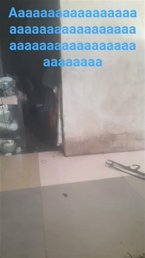 sdf rte nick.jr.too.tm #comedy