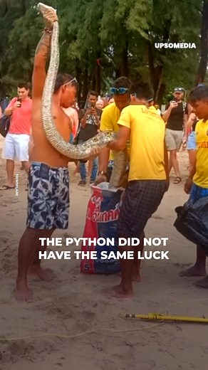 28K views · 209 reactions | They were enjoying what seemed to be a paradise vacation, but their garden of Eden was not what it appeared, as a creature was stealthily approaching among the waves. | The Kiwi | Facebook