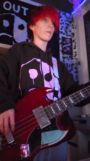 Mitski - Washing Machine Heart || bass cover