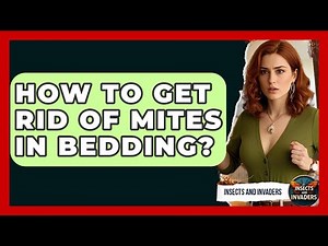 How To Get Rid Of Mites In Bedding? - Insects and Invaders