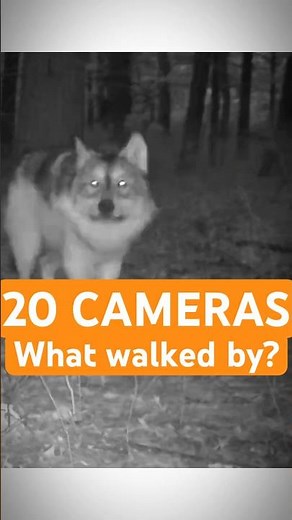 Today In The Timber — January 16th