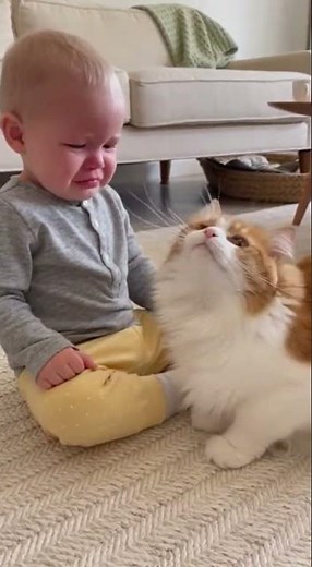 The Baby Was Crying… Then the Cat Did This 😭🐱 #babyandcat #cat #funnybaby