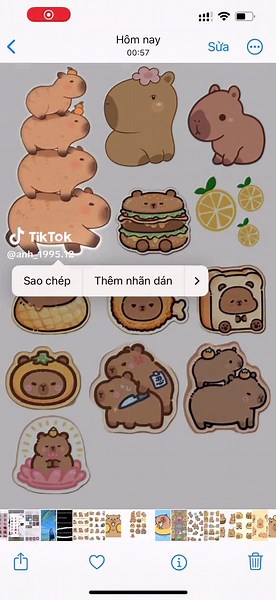 Cách làm hình dán sticker capybara tự làm messenger