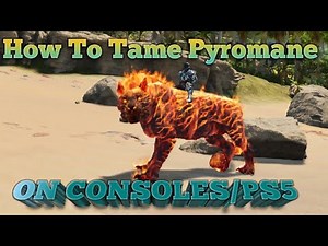 How to Tame Pyromane ASA/PS5/CONSOLE