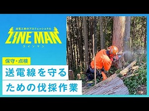 送電線を守る伐採作業