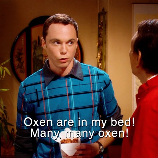 Sheldon Got All His Chinese Wrong#movie#shorts#tv