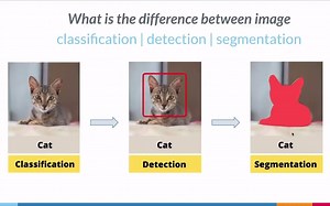 PyTorch and Monai for AI Healthcare Imaging