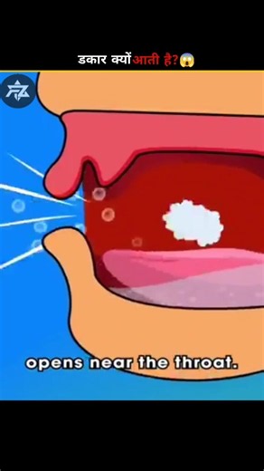 Why Do We Burp? Explained!🤯
