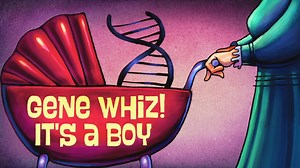 The Gene Explained | Gene Whiz! It's a Boy! | The Gene