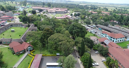 30K views · 595 reactions | Egerton University is located in the most conducive environment for learning, research, conferences and talent develoment. The environment also supports sports, seminars and team building. Take a look at the University Virtual Tour and be part of our story. www.egerton.ac.ke | Egerton University | Facebook