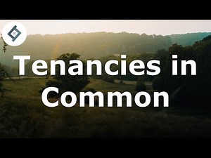 Tenancies in Common | Land Law