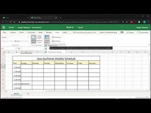 Excel Schedule Assignment