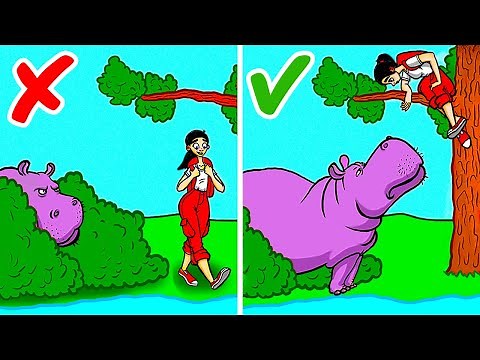 What To Do If You Run Into a Mountain Lion, Bear, and Other Wild Animals