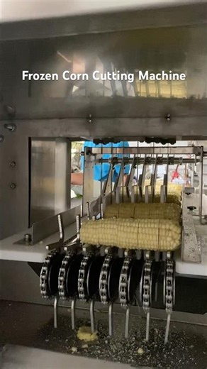 Frozen Corn Cutting Machine In Action! #sweetcorn #cuttingmachine #automatic #foodtech #bandsaw