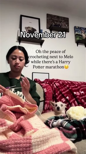 Navigating Pet Loss: Coping with Grief After Dog's Passing