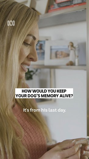 46K views · 253 reactions |  ❤️ #ABCCompass | ABC iview | Facebook