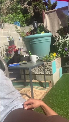 Sunbathing in my front yard