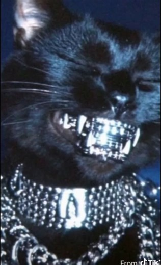 التفاهة المنتشرة حاليا، تأخذ بك للهاوية. - - #الفصحى #my_voice #اكسبلور #الغموض #like